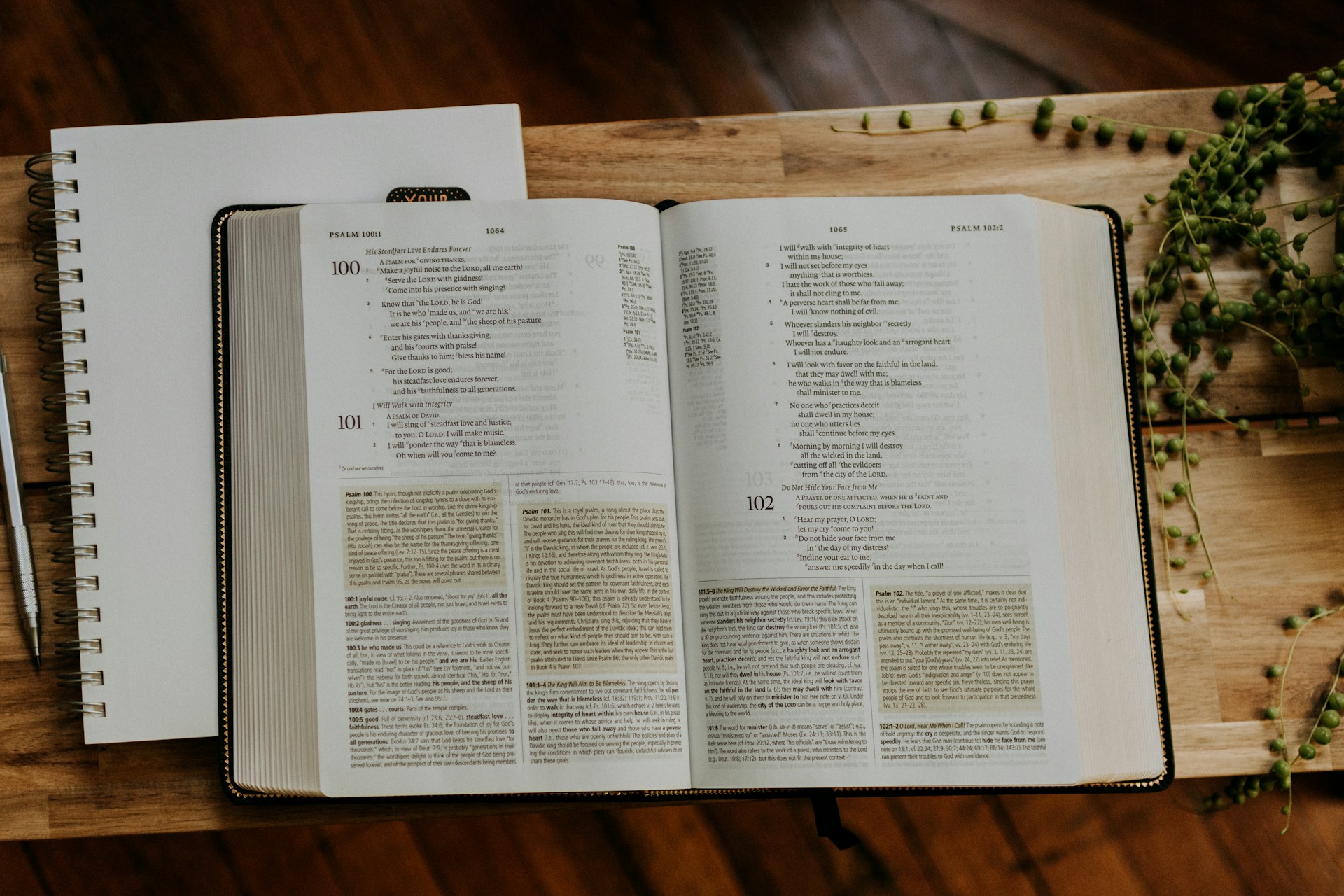 Bible Study: Living Beyond Bread
